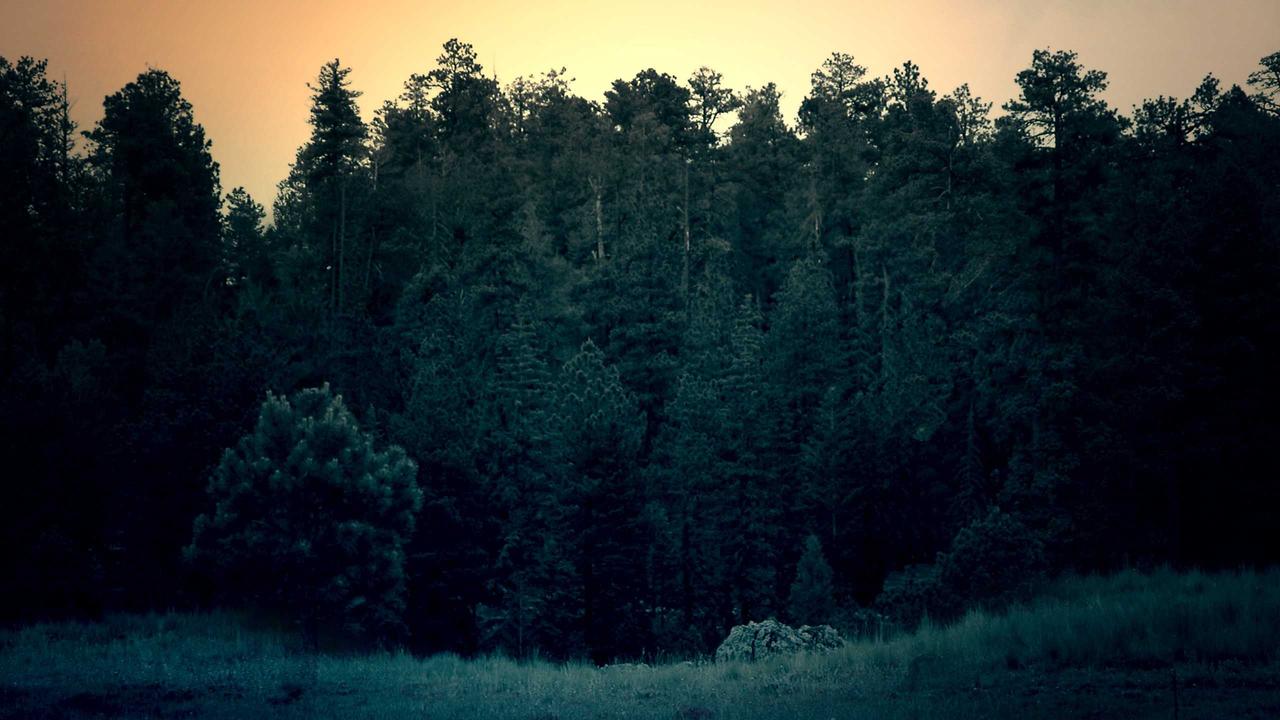 米博体育用户评价 - 米博体育app入口 官网 下载